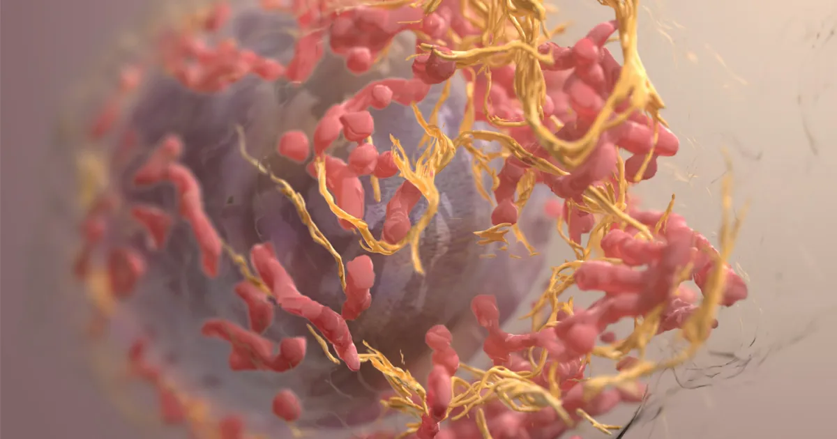 Akciğer Kanserinde Gotistobart Umudu