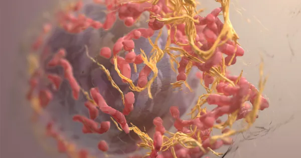 Akciğer Kanserinde Gotistobart Umudu