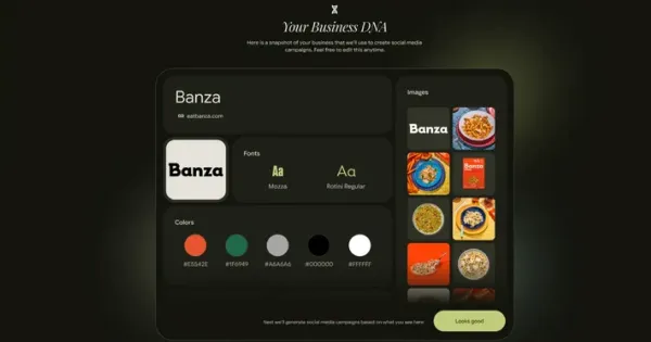 Google Pomelli'yi tanıttı