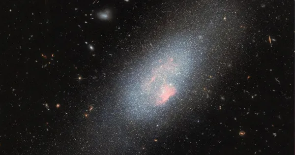 Hubble Dev Yıldızların İzini Sürdü