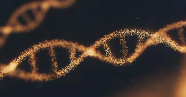 Japonya Genetiği Değiştirilmiş Bebekleri Yasaklıyor