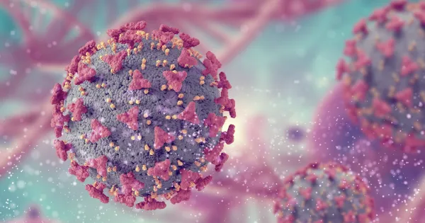 Kemik İliği Modeli