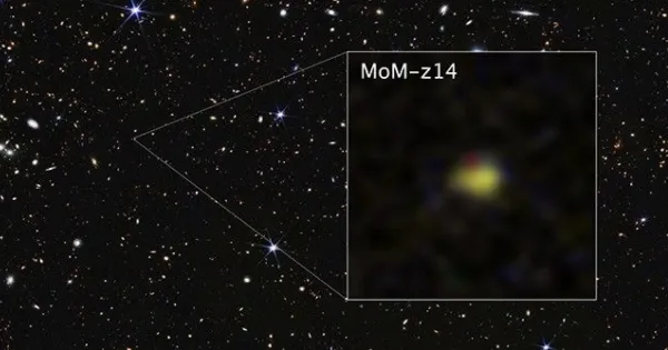 James Webb En Uzak Galaksiyi Keşfetti