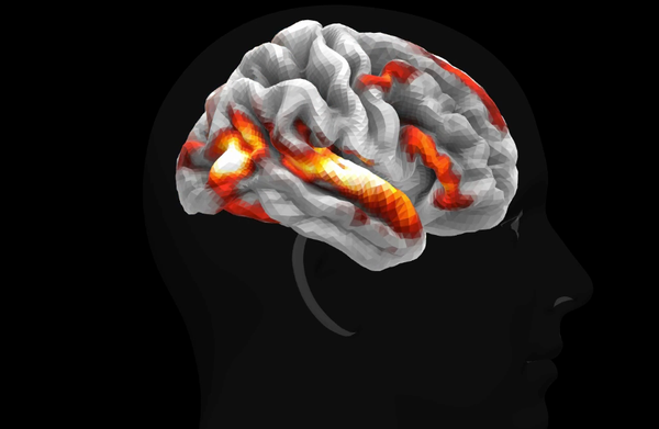 Meta Beynin Dijital İkizini Yarattı