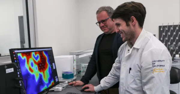 Laboratuvarda Yetiştirilen Mini Beyinler Artık Öğrenebiliyor