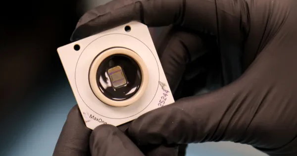 Laboratuvarda Yetiştirilen Mini Beyinler Artık Öğrenebiliyor