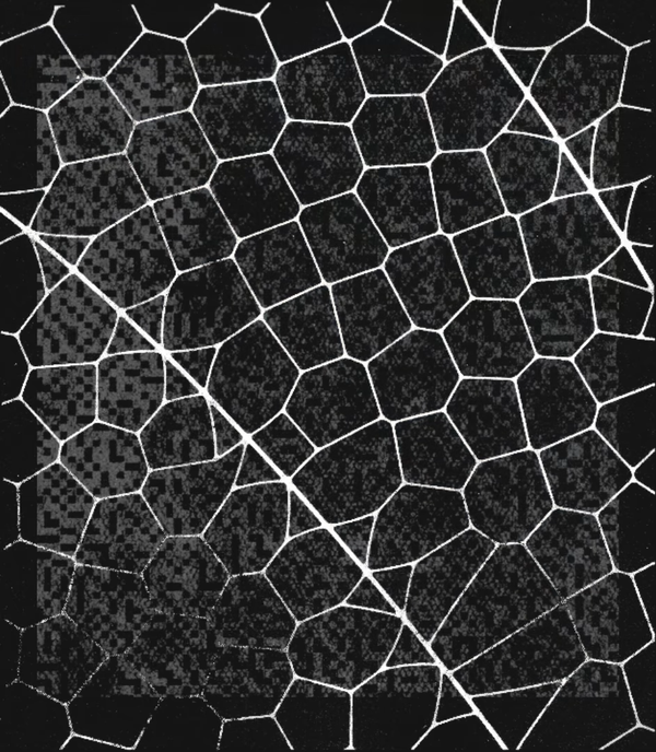 Anthropic'ten Devlerin Ortaklığı: Project Glasswing